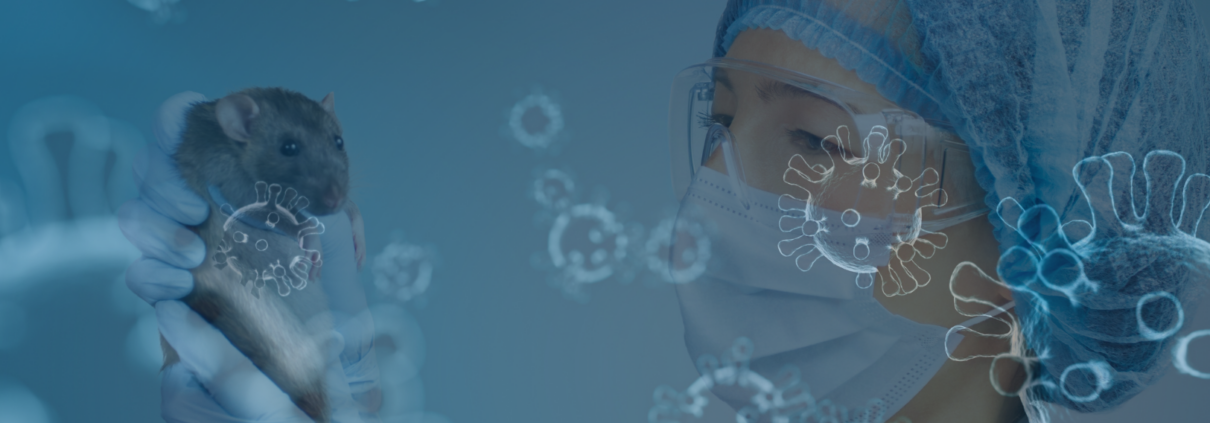 Hantavirus et assurance entreprise : analyse des impacts sur les contrats d'assurance par Spencer Conseil