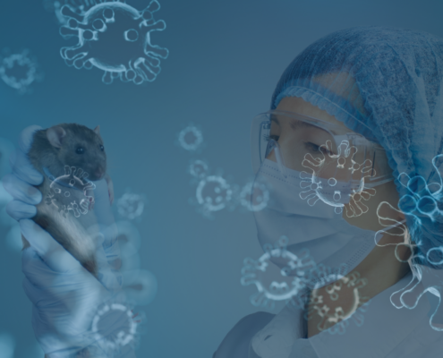 Hantavirus et assurance entreprise : analyse des impacts sur les contrats d'assurance par Spencer Conseil